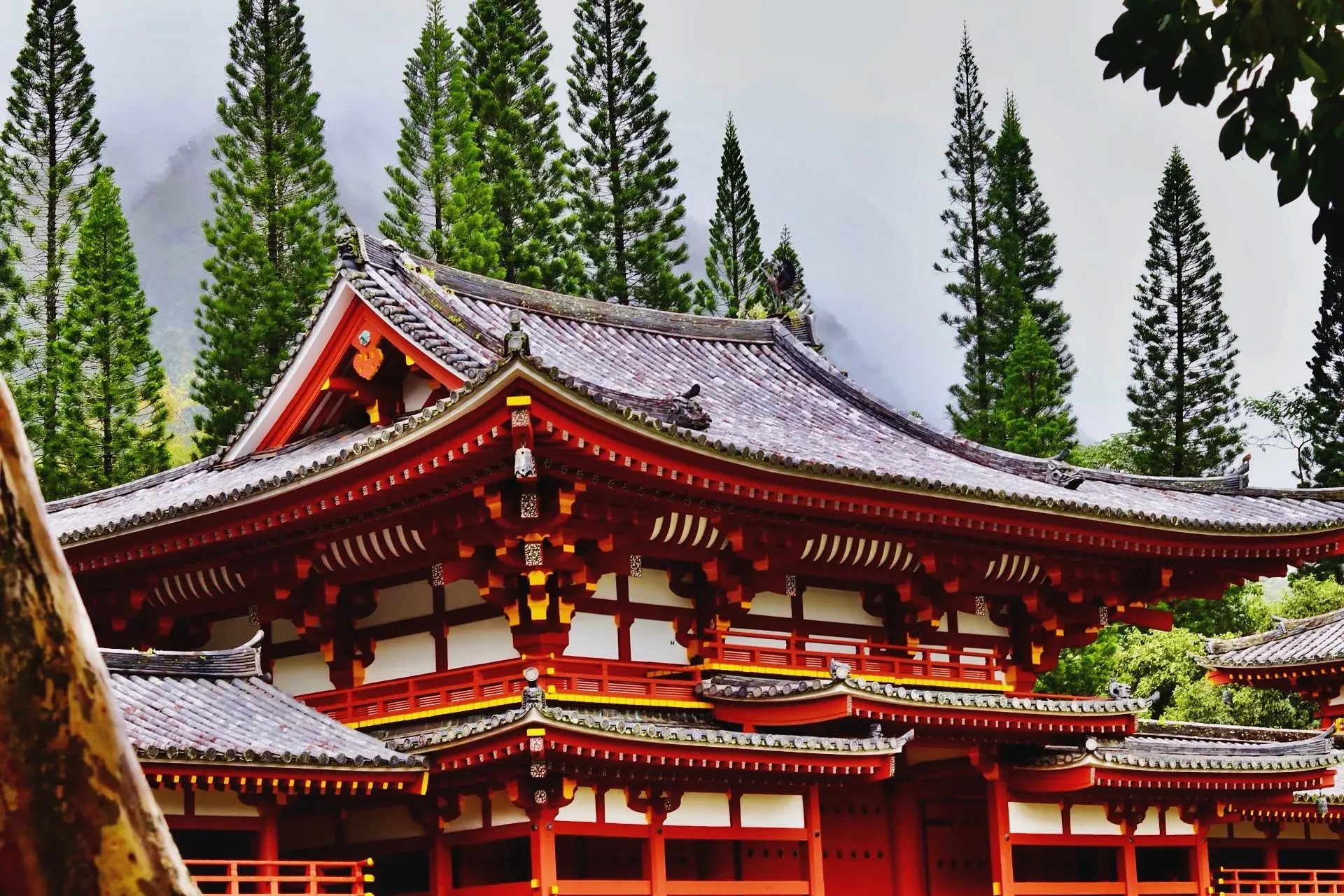 Temple photograph